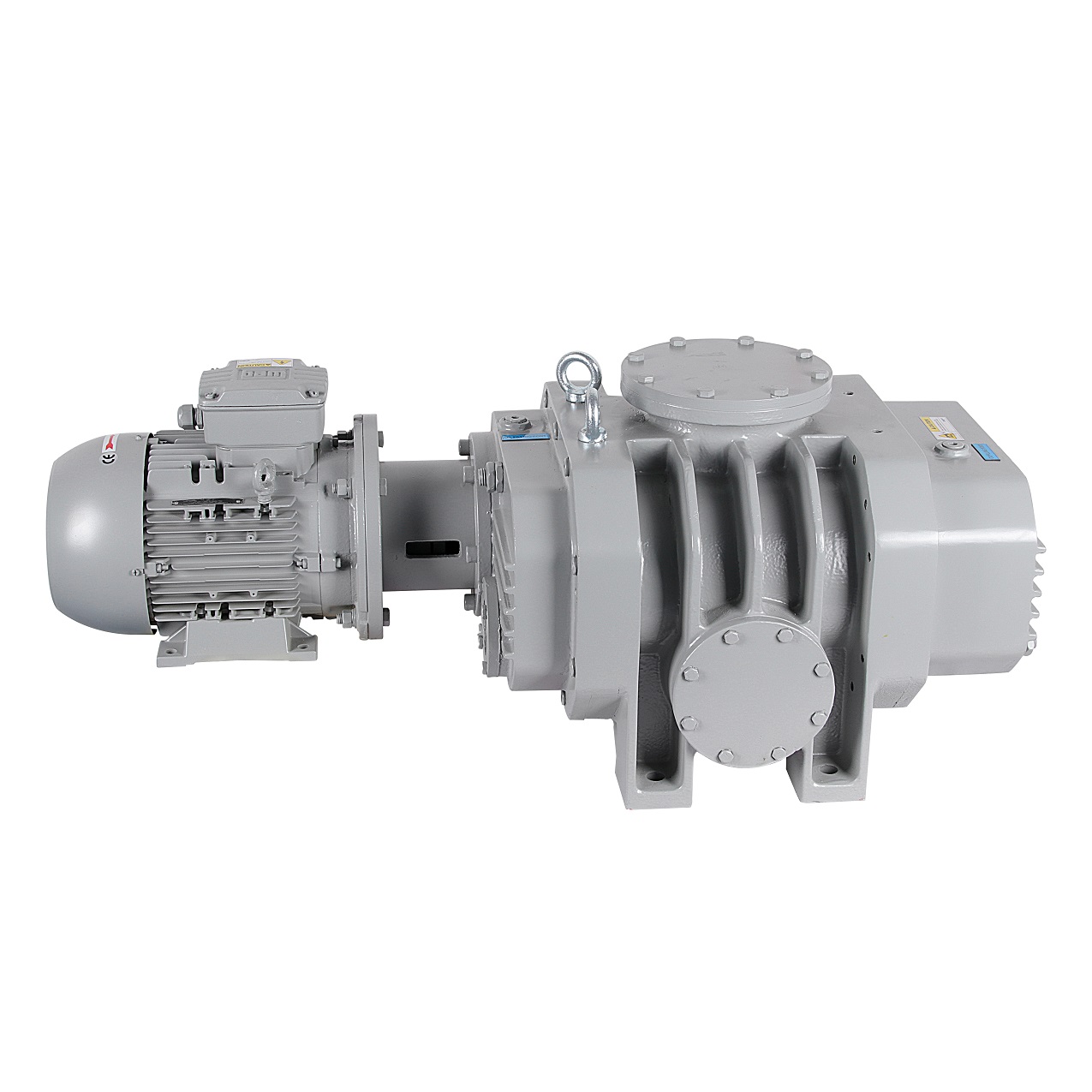 RVT4300 Roots vacuum pump